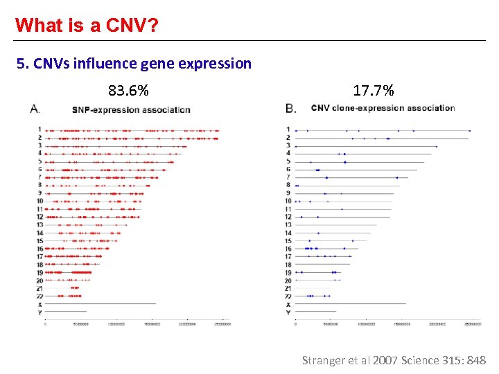 What is a CNV? 5. CNVs influence gene expression 83. 6% 17. 7% Stranger