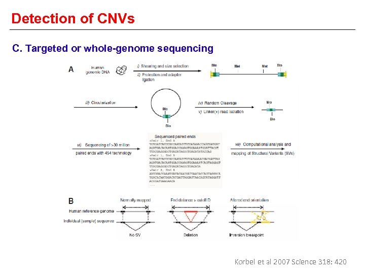 Detection of CNVs C. Targeted or whole-genome sequencing Korbel et al 2007 Science 318: