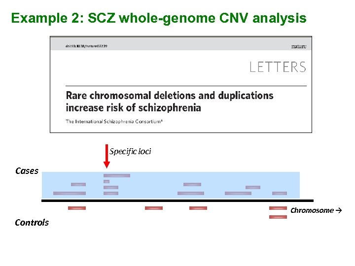 Example 2: SCZ whole-genome CNV analysis Specific loci Cases Chromosome → Controls 