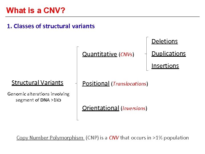 What is a CNV? 1. Classes of structural variants Deletions Quantitative (CNVs) Duplications Insertions