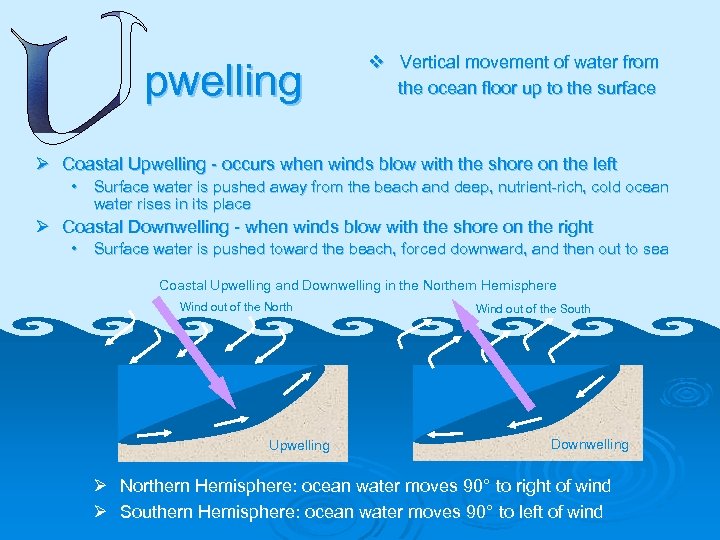 pwelling v Vertical movement of water from the ocean floor up to the surface