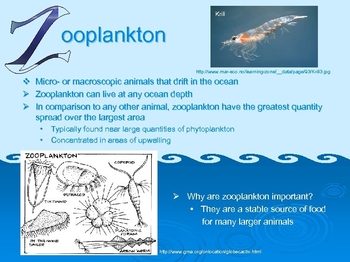 Krill ooplankton http: //www. mar-eco. no/learning-zone/__data/page/93/Krill 3. jpg v Micro- or macroscopic animals that