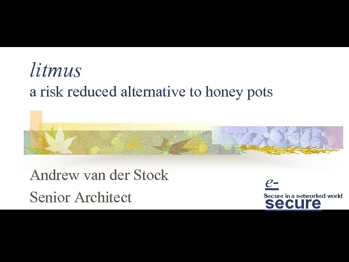litmus a risk reduced alternative to honey pots Andrew van der Stock Senior Architect