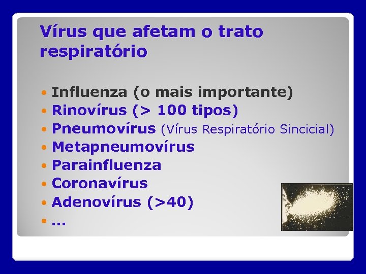 Vírus que afetam o trato respiratório Influenza (o mais importante) Rinovírus (> 100 tipos)