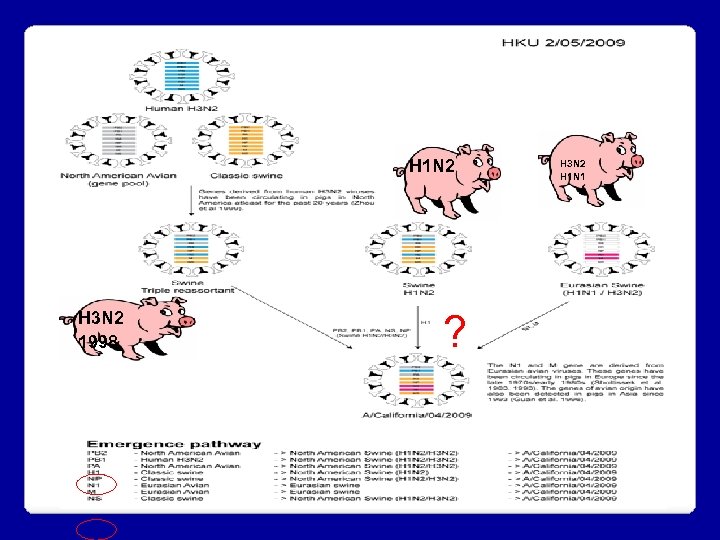 H 1 N 2 H 3 N 2 1998 ? H 3 N 2
