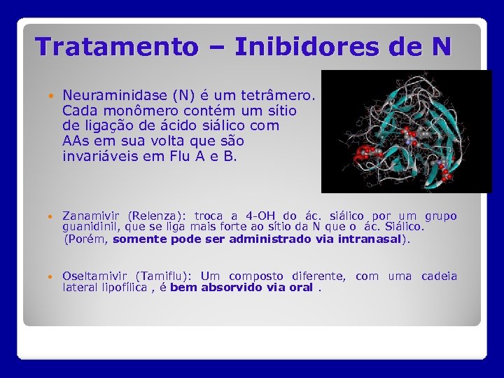 Tratamento – Inibidores de N Neuraminidase (N) é um tetrâmero. Cada monômero contém um