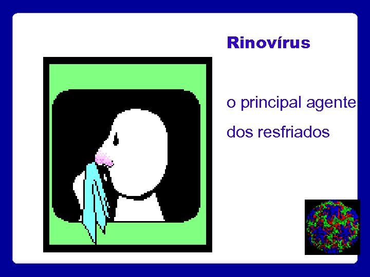 Rinovírus o principal agente dos resfriados 