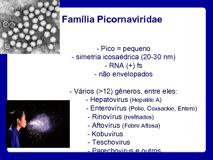Família Picornaviridae - Pico = pequeno - simetria icosaédrica (20 -30 nm) - RNA