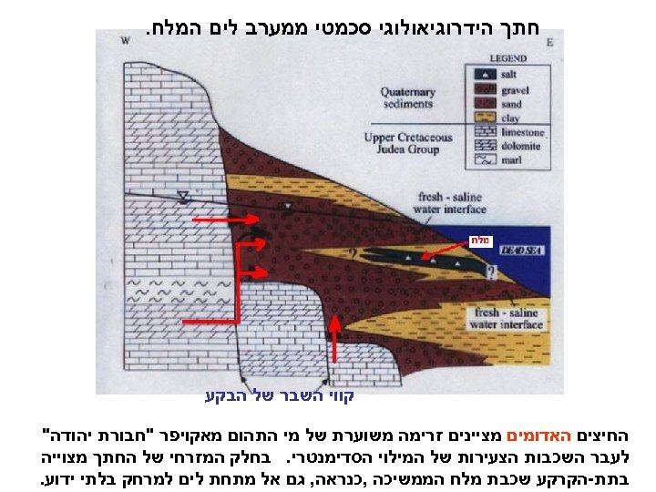  חתך הידרוגיאולוגי סכמטי ממערב לים המלח. קווי השבר של הבקע החיצים האדומים מציינים