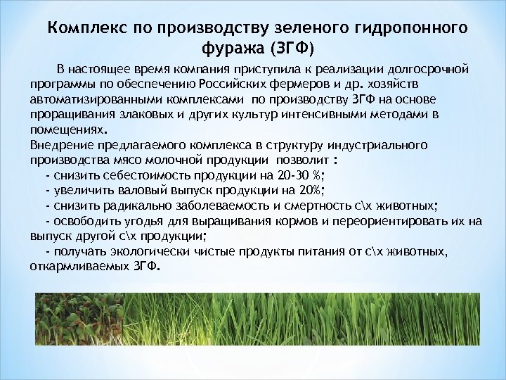 Комплекс по производству зеленого гидропонного фуража (ЗГФ) В настоящее время компания приступила к реализации