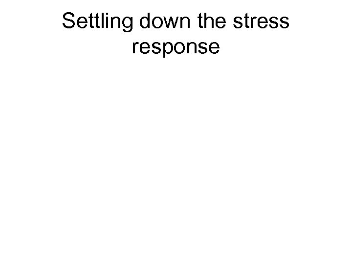 Settling down the stress response 