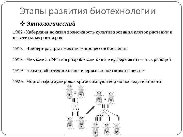 Презентация история развития биотехнологии