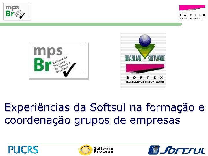 Experiências da Softsul na formação e coordenação grupos de empresas 