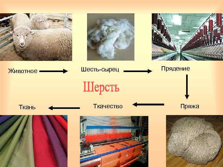 Животное Ткань Шесть-сырец Ткачество Прядение Пряжа 