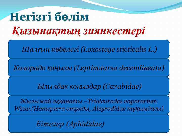 Негізгі бөлім Қызынақтың зиянкестері Шалғын көбелегі (Loxostege stіctіcalіs L. ) Колорадо қоңызы (Leptinotarsa decemlineata)