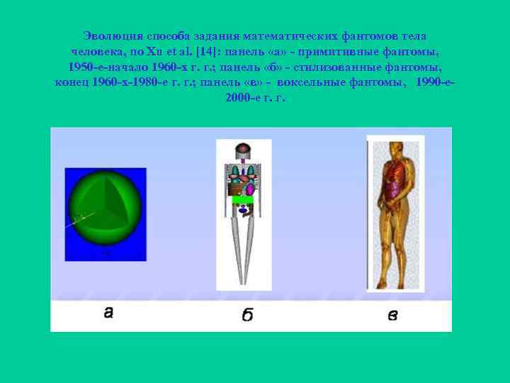 Эволюция способа задания математических фантомов тела человека, по Xu et al. [14]: панель «а»