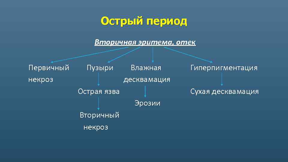 Острый период Вторичная эритема, отек Первичный некроз Пузыри Влажная десквамация Острая язва Сухая десквамация