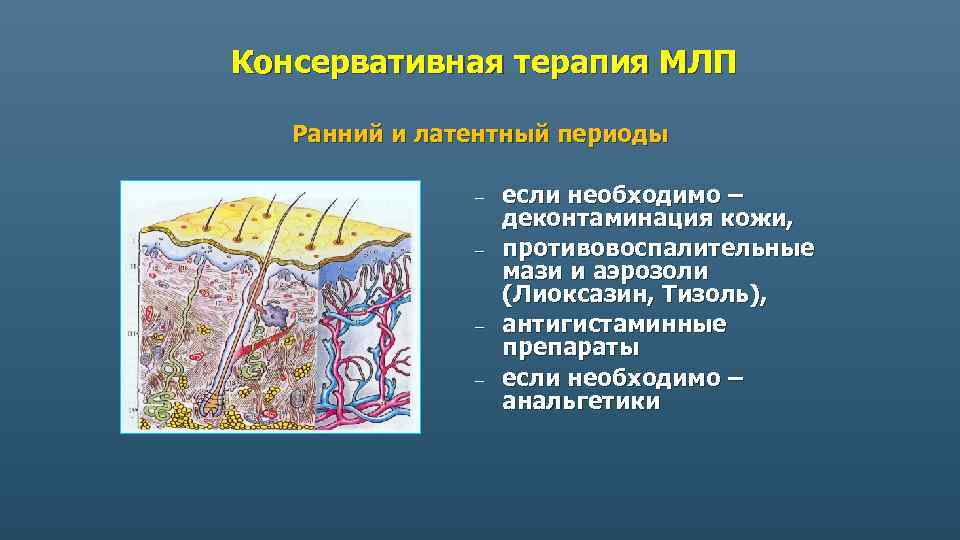 Консервативная терапия МЛП Ранний и латентный периоды – – если необходимо – деконтаминация кожи,