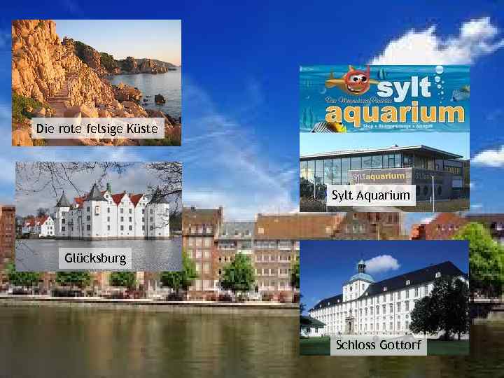 Die rote felsige Küste Sylt Aquarium Glücksburg Schloss Gottorf 