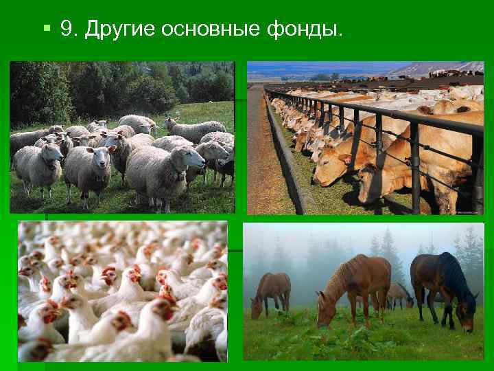  9. Другие основные фонды. 