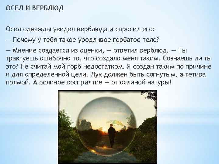 ОСЕЛ И ВЕРБЛЮД Осел однажды увидел верблюда и спросил его: — Почему у тебя