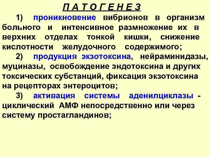 ПАТОГЕНЕЗ 1) проникновение вибрионов в организм больного и интенсивное размножение их в верхних отделах