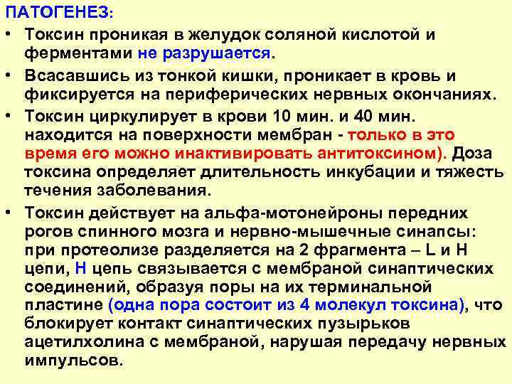 ПАТОГЕНЕЗ: • Токсин проникая в желудок соляной кислотой и ферментами не разрушается. • Всасавшись