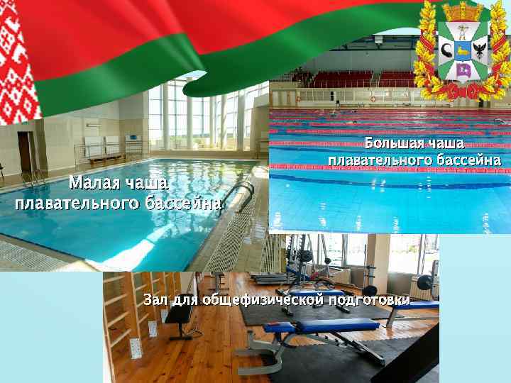 Малая чаша плавательного бассейна Большая чаша плавательного бассейна Зал для общефизической подготовки 