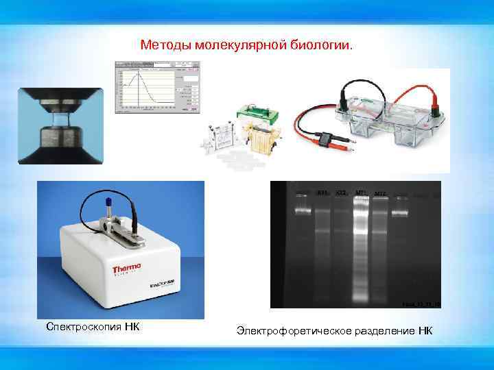Методы молекулярной биологии. Спектроскопия НК Электрофоретическое разделение НК 