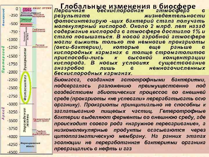 Изменения в биосфере. Изменение биосферы. Глобальные изменения в биосфере. Основные причины изменения биосферы. К глобальным изменениям в биосфере относят.