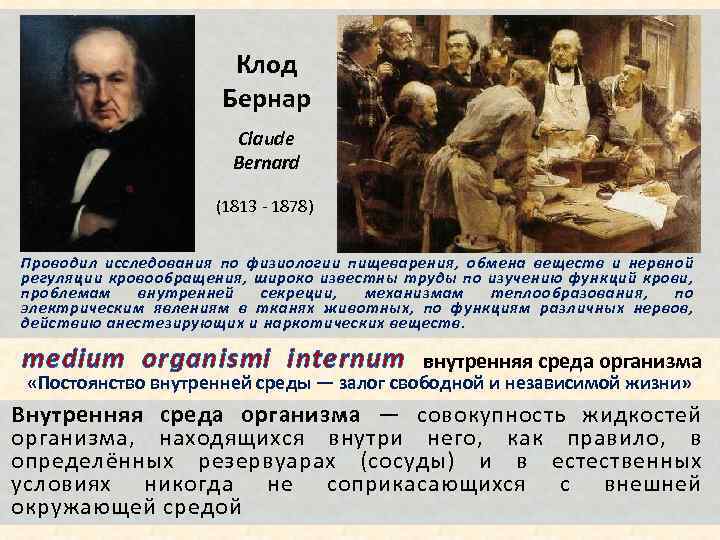 Клод Бернар Claude Bernard (1813 - 1878) Проводил исследования по физиологии пищеварения, обмена веществ