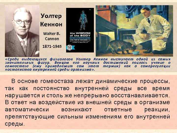 Уолтер Кеннон Walter B. Cannon 1871 1945 «Среди выдающихся физиологов Уолтер Кеннон выступает одной