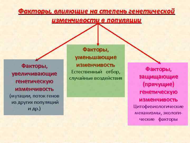 Запишите факторы. Факторы наследственной изменчивости. Факторы влияющие на изменчивость. Генетические механизмы накопления изменчивости популяции. Факторы генетической изменчивости.