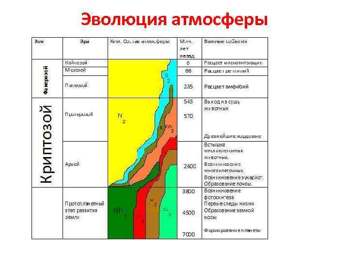 Биология 9 класс эволюция биосферы план