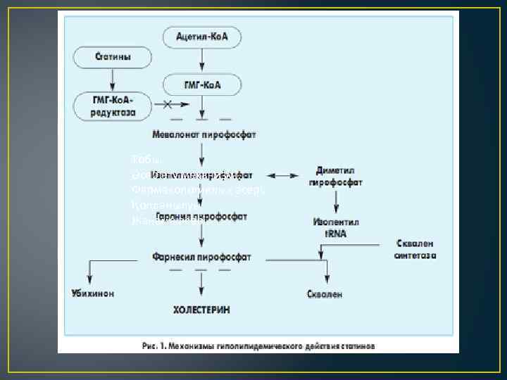 Тобы. Әсер ету механизмі. Фармакологиялық әсері. Қолданылуы. Жанама әсері. 
