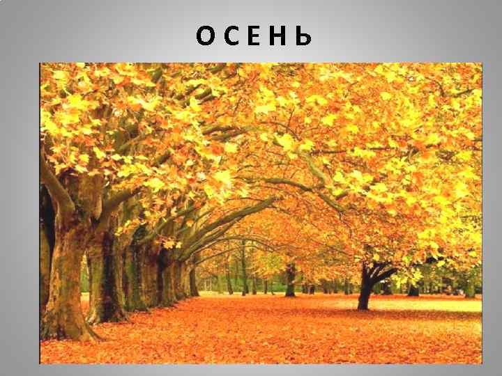 ОСЕНЬ 