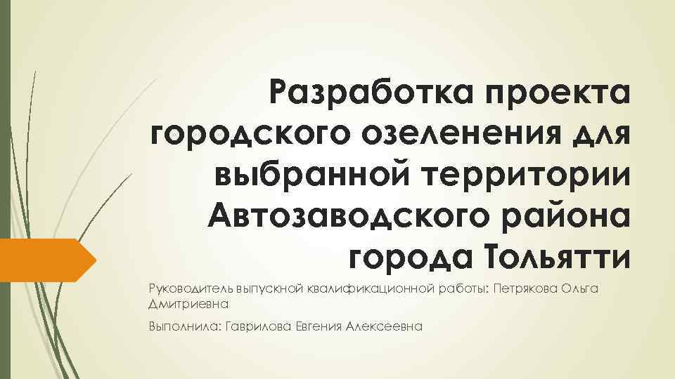 Разработка проекта городского озеленения для выбранной территории Автозаводского района города Тольятти Руководитель выпускной квалификационной