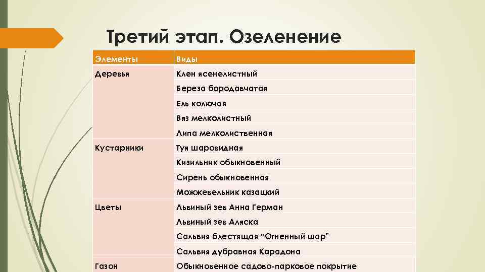 Третий этап. Озеленение Элементы Виды Деревья Клен ясенелистный Береза бородавчатая Ель колючая Вяз мелколистный