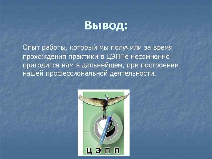 Вывод: Опыт работы, который мы получили за время прохождения практики в ЦЭППе несомненно пригодится