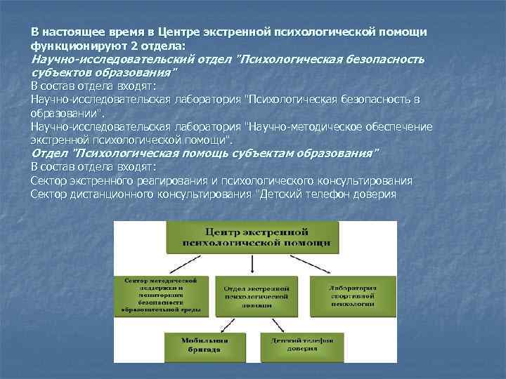 В настоящее время в Центре экстренной психологической помощи функционируют 2 отдела: Научно-исследовательский отдел "Психологическая