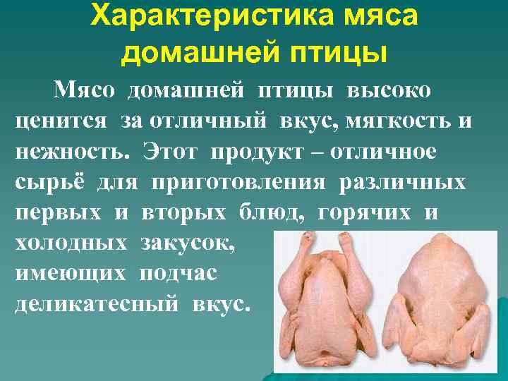Характеристика мяса домашней птицы Мясо домашней птицы высоко ценится за отличный вкус, мягкость и