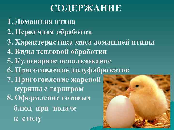 СОДЕРЖАНИЕ 1. Домашняя птица 2. Первичная обработка 3. Характеристика мяса домашней птицы 4. Виды