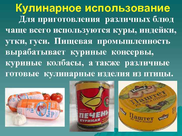 Кулинарное использование Для приготовления различных блюд чаще всего используются куры, индейки, утки, гуси. Пищевая