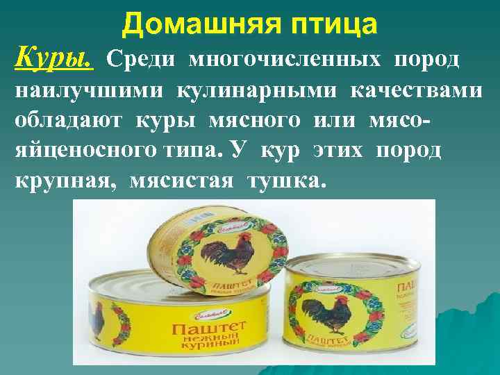 Домашняя птица Куры. Среди многочисленных пород наилучшими кулинарными качествами обладают куры мясного или мясояйценосного