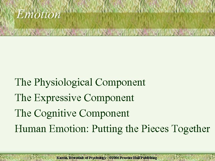 Emotion The Physiological Component The Expressive Component The Cognitive Component Human Emotion: Putting the