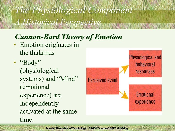 The Physiological Component A Historical Perspective Cannon-Bard Theory of Emotion • Emotion originates in