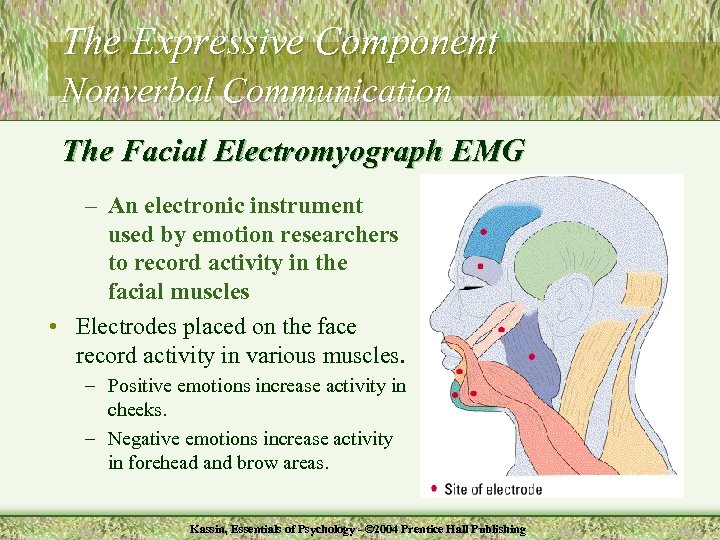 The Expressive Component Nonverbal Communication The Facial Electromyograph EMG – An electronic instrument used