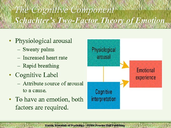 The Cognitive Component Schachter’s Two-Factor Theory of Emotion • Physiological arousal – Sweaty palms