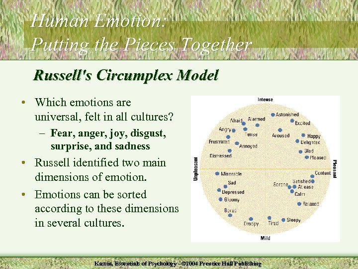 Human Emotion: Putting the Pieces Together Russell's Circumplex Model • Which emotions are universal,