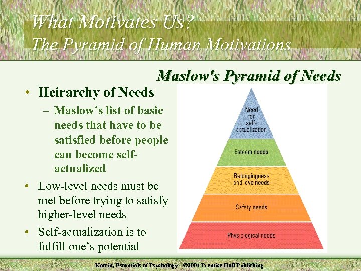 What Motivates Us? The Pyramid of Human Motivations • Heirarchy of Needs Maslow's Pyramid